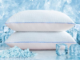 What Happened to Lux Living Pillows? 2 - bedcomfort.pro